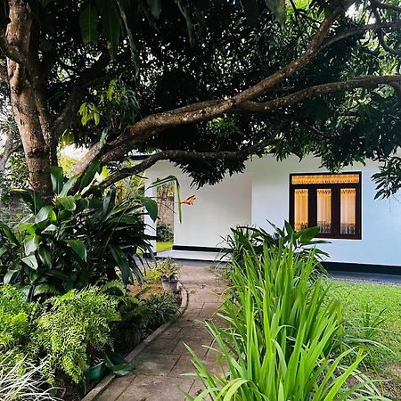 미리사 The Mango Retreat 빌라 외부 사진