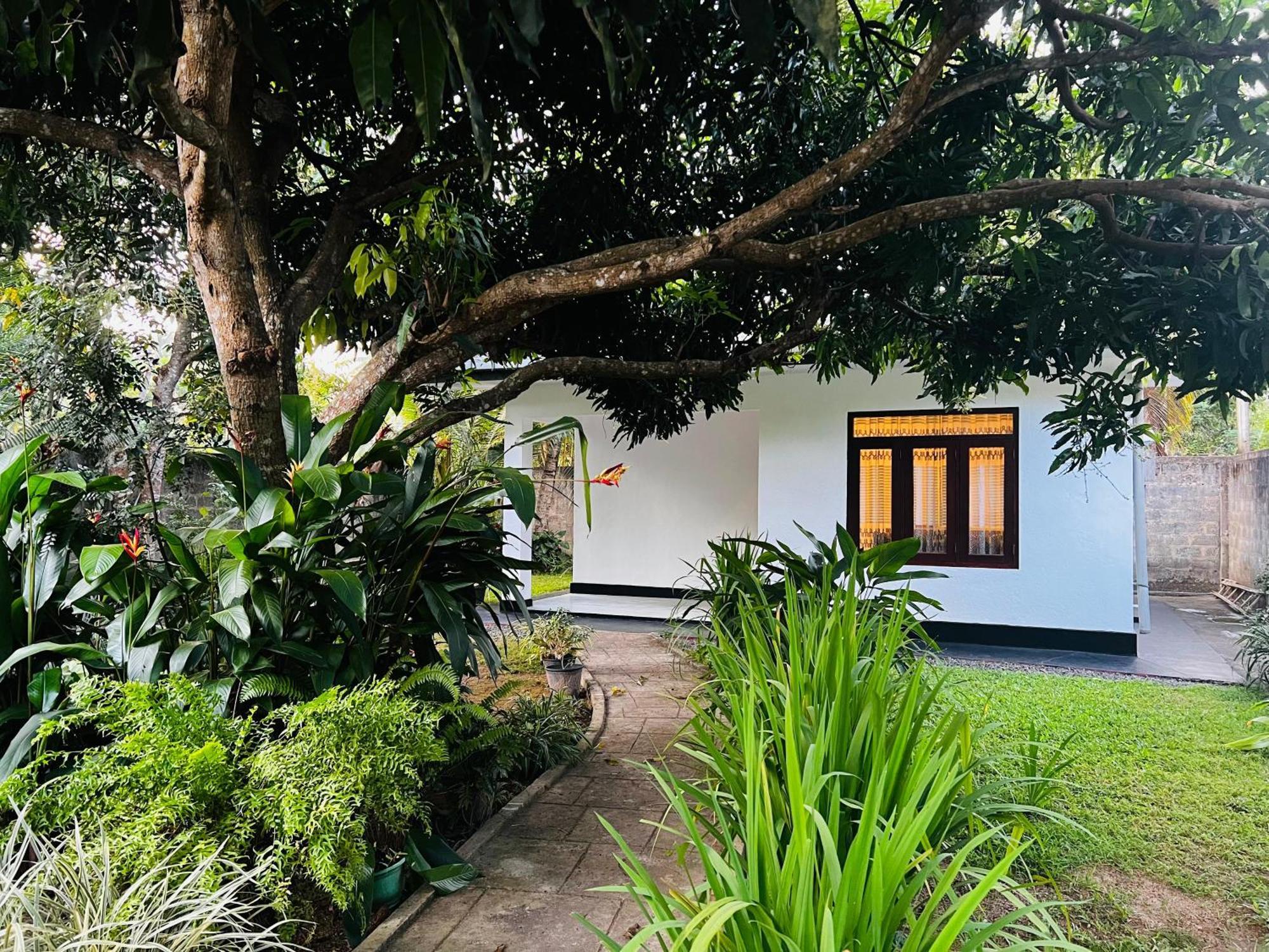 미리사 The Mango Retreat 빌라 외부 사진