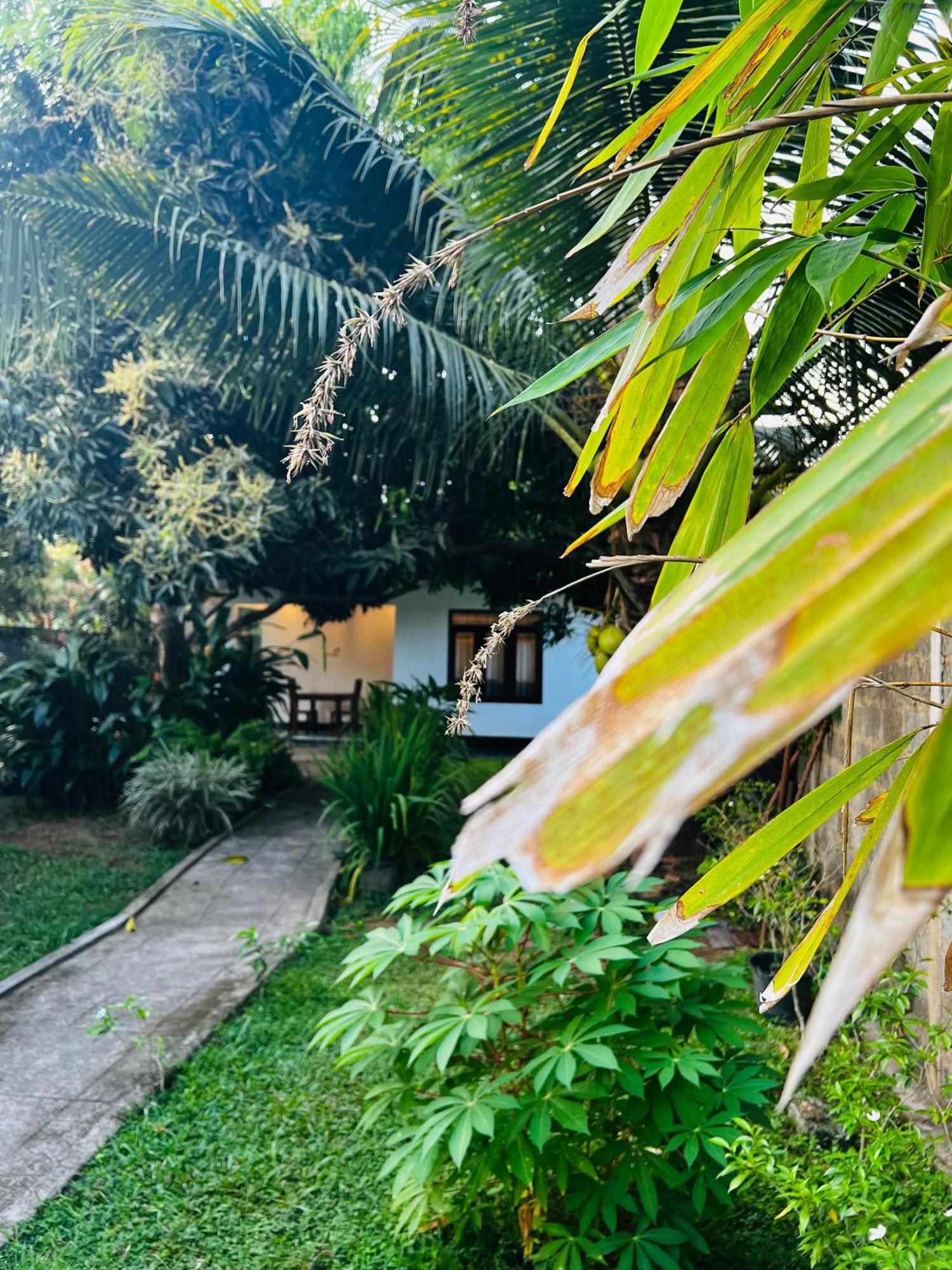 미리사 The Mango Retreat 빌라 외부 사진