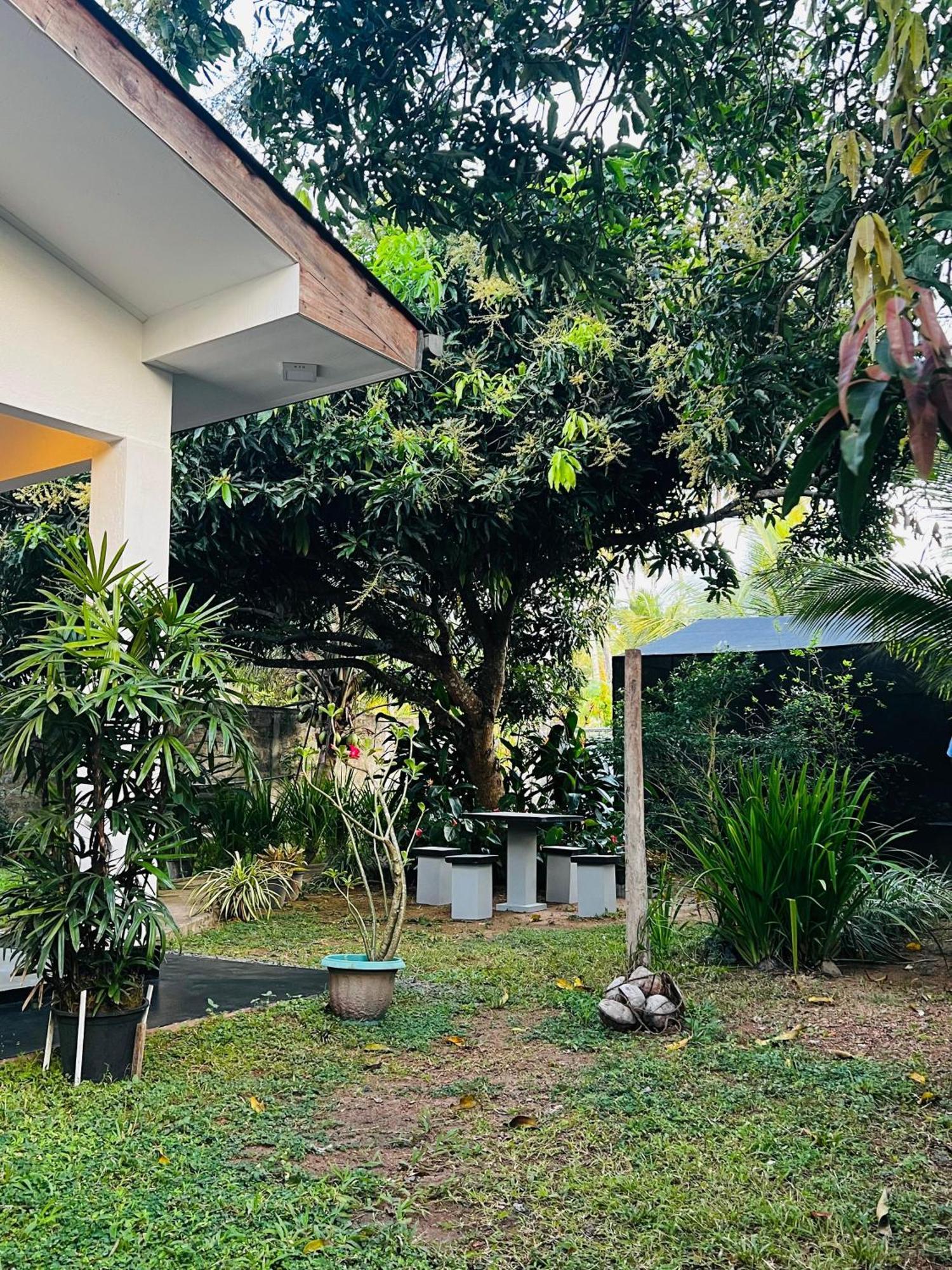 미리사 The Mango Retreat 빌라 외부 사진